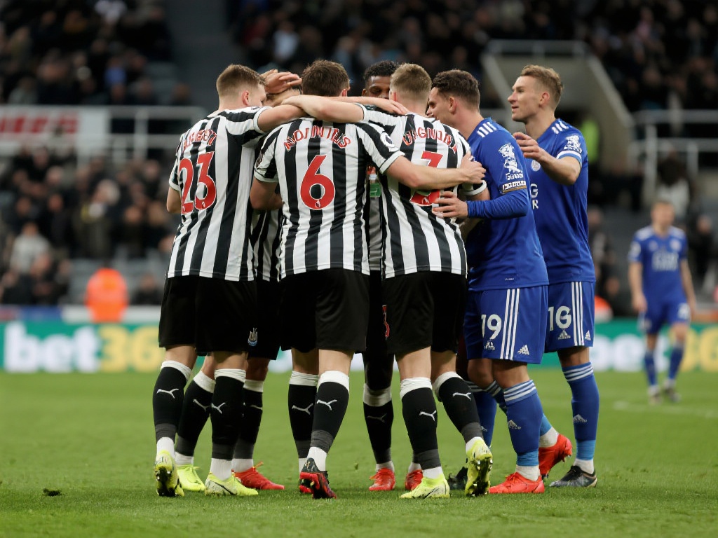 领域的重要 领域的重要